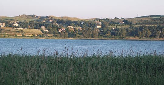 Travel around Pergusa with SAIS Autolinee buses. Sent to the racetrack, between nature reserves and an immense forest on the lake